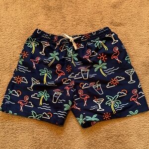 Men’s Chubbies Neon Lights Shorts